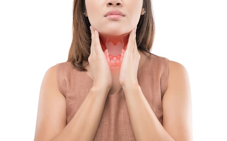  Four Things Women Should Know about the Thyroid Gland