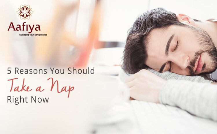  5 Reasons You Should Take a Nap Right Now